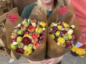 tulpen uit de bollenstreek moederdag